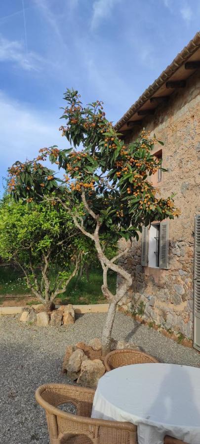 Sa Riba, In Mallorca * Son Carrio (Llevant)