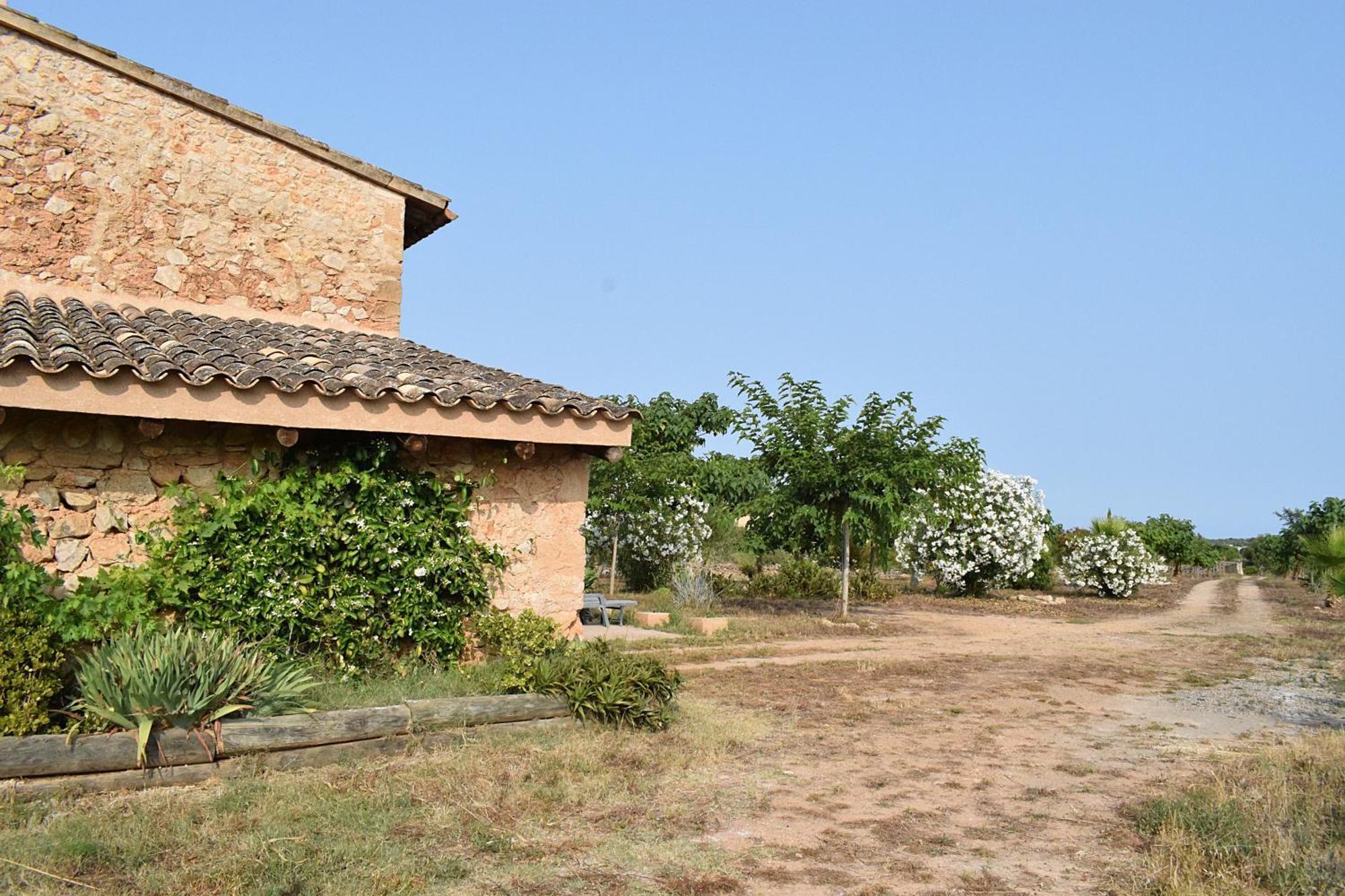 Sa Riba, In Mallorca * Son Carrio (Llevant)