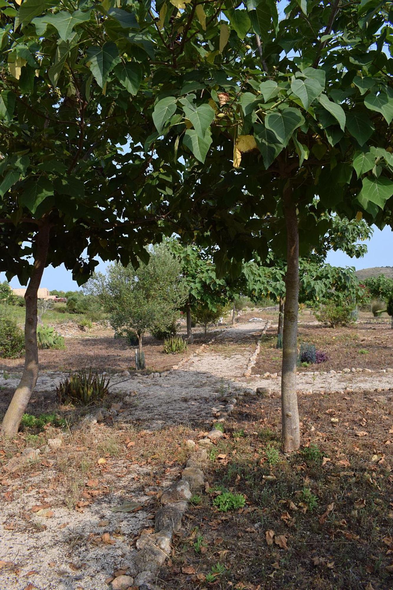 Sa Riba, In Mallorca *