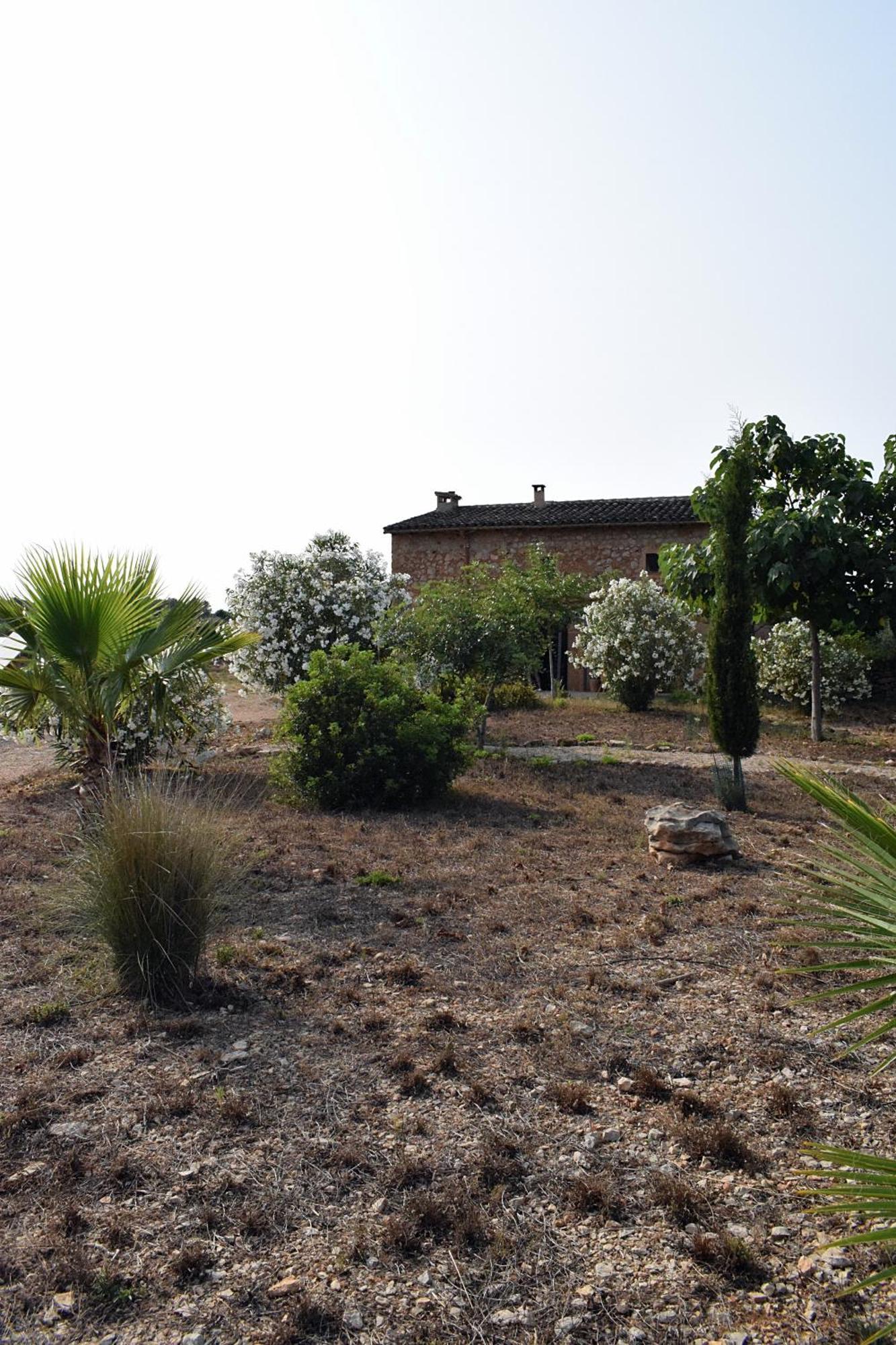 Sa Riba, In Mallorca *