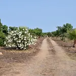 Sa Riba, Country House In Mallorca