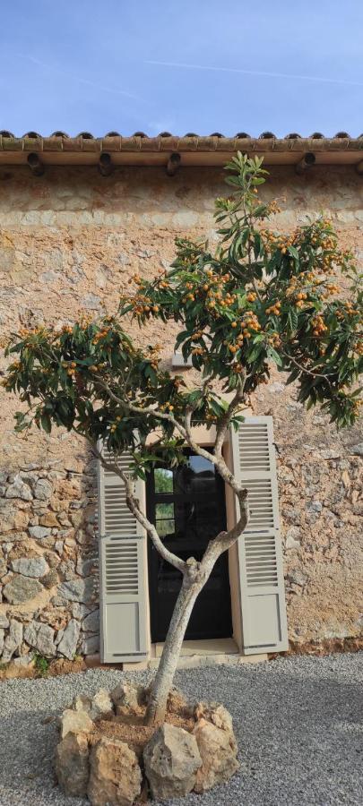 Sa Riba, In Mallorca Hébergement de vacances Son Carrio (Llevant)