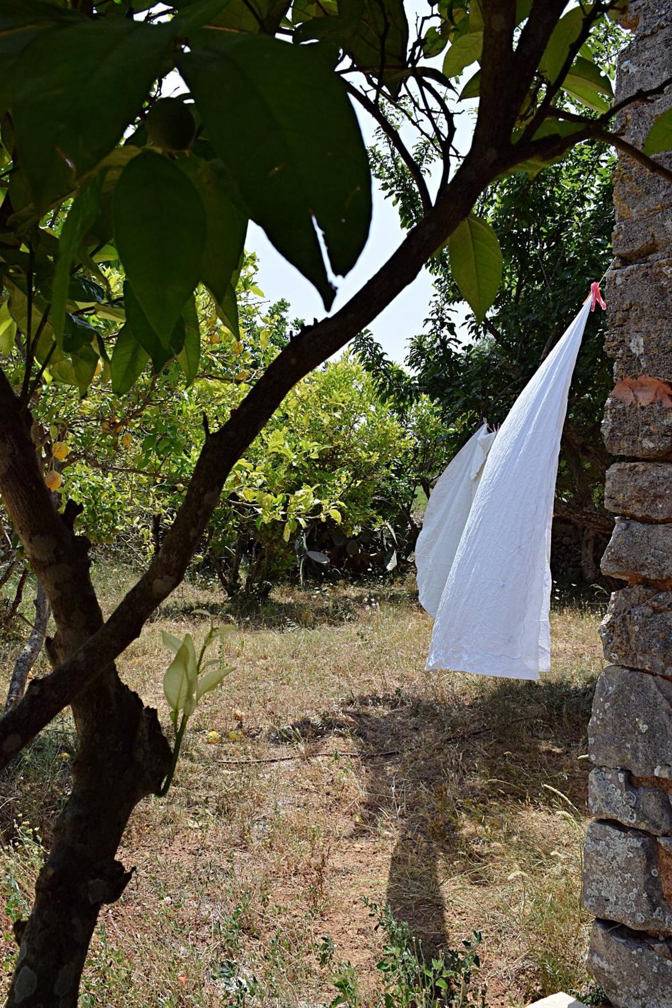 Sa Riba, In Mallorca Hébergement de vacances *