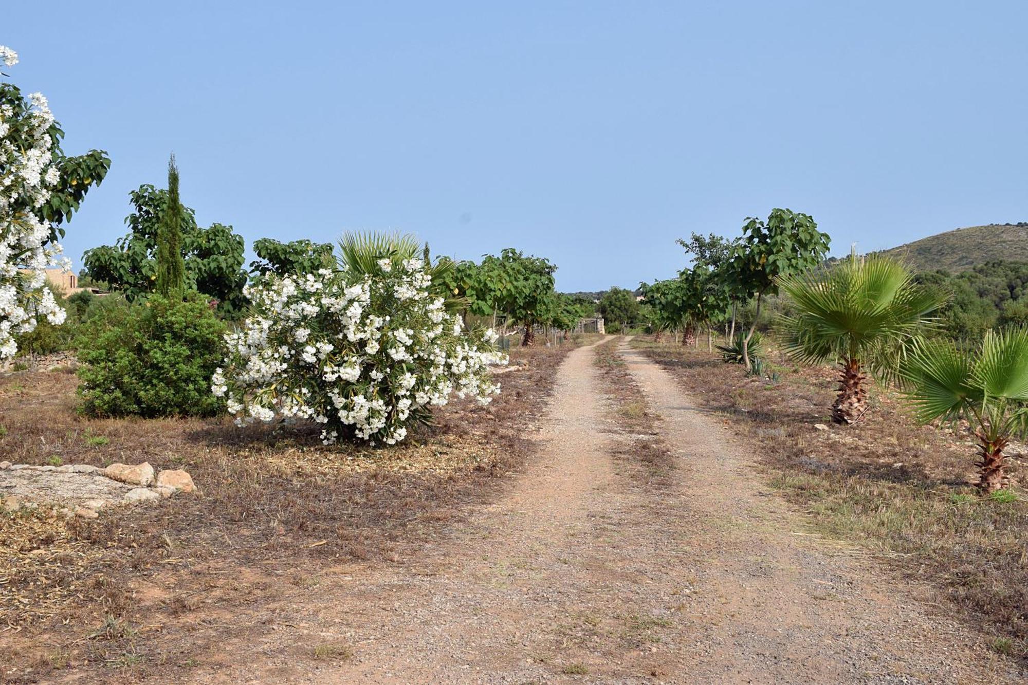 Sa Riba, In Mallorca Son Carrio (Llevant)